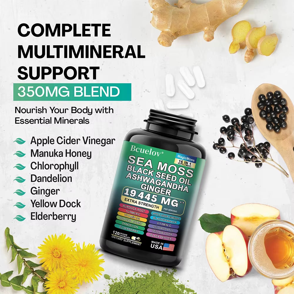 Seaweed Black Seed Oil Ashwagandha Ginger, 120 Capsules - 19.445 Mg, Support Seaweed Black Seed Oil Ashwagandha Ginger Capsules